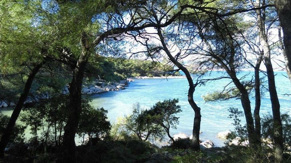 Apartman U Srcu Grada - Ilicev Prolaz Split Dış mekan fotoğraf